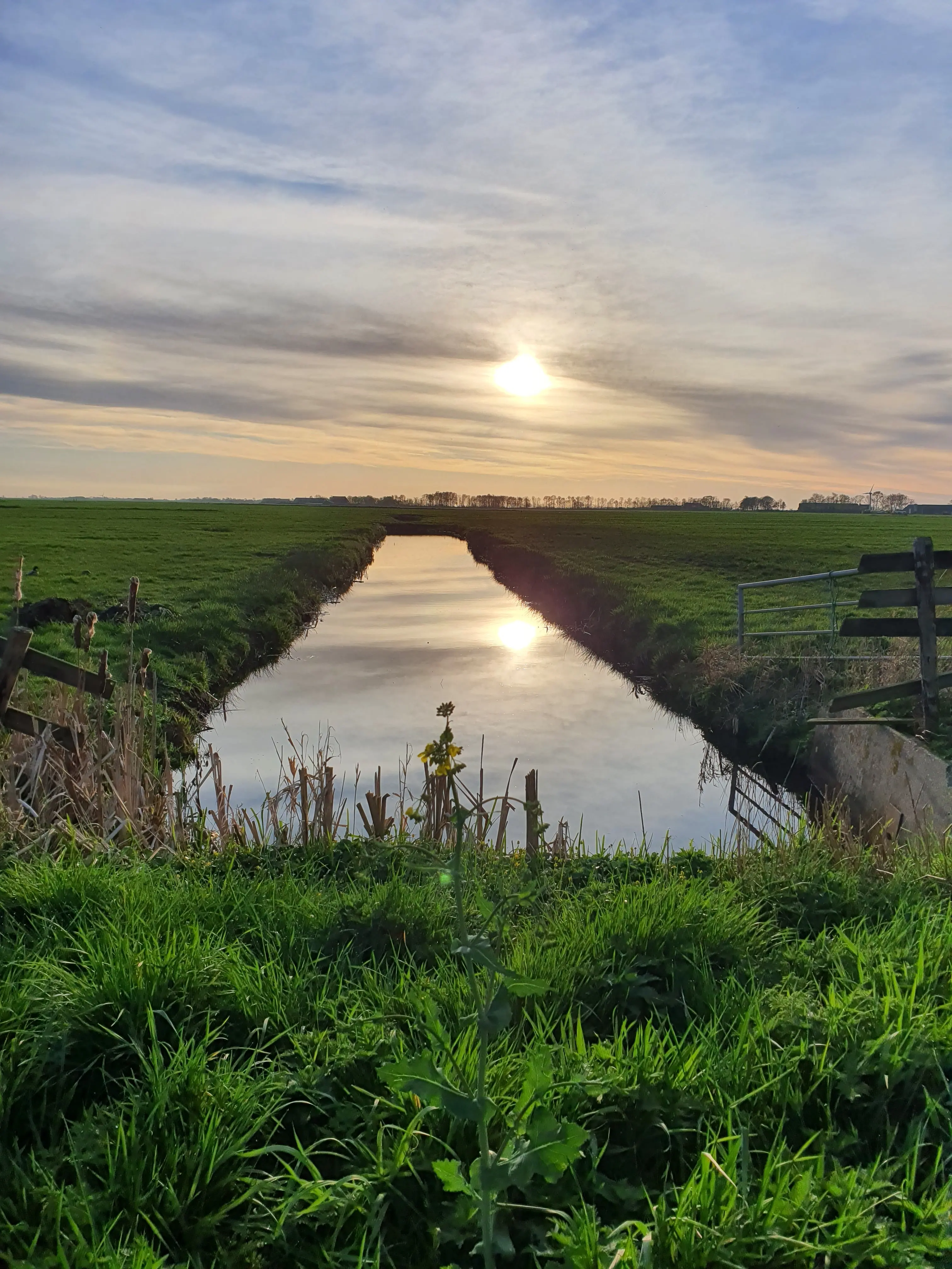 Uitzicht over de rustige Friese polder