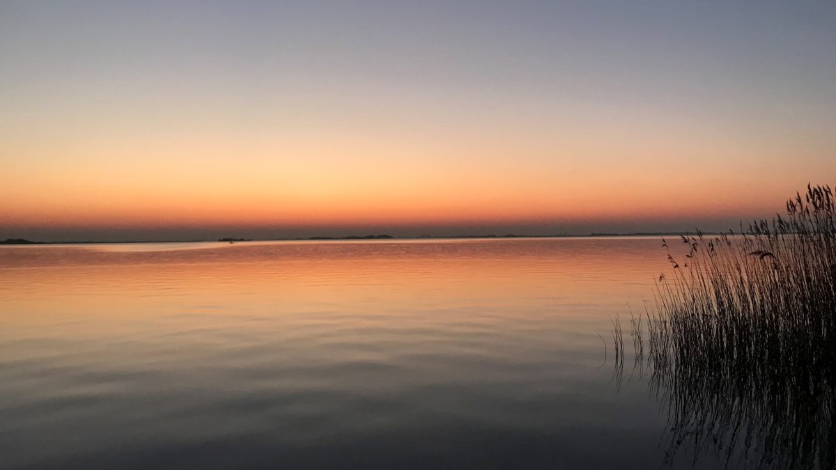 Indijk Natuurcamping de Rakken 2