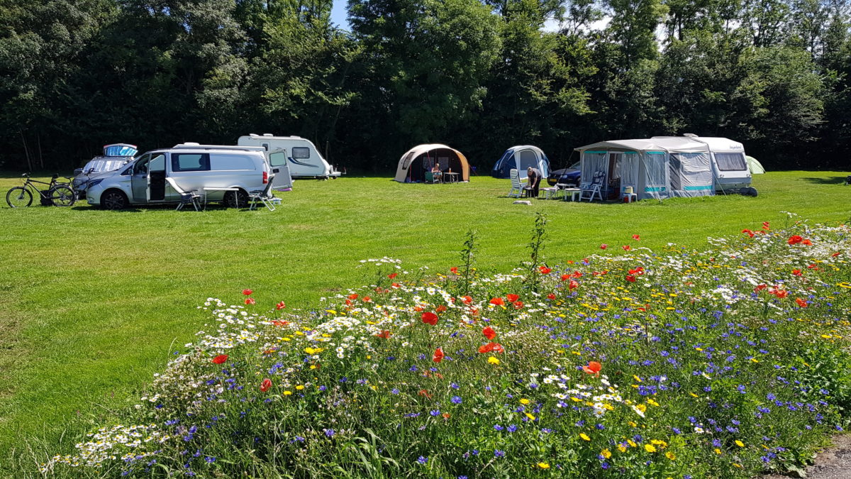 Indijk Natuurcamping de Rakken 5