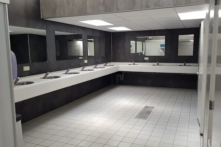 Sanitair wastafels dames