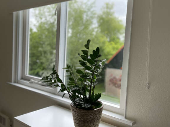 IMG 0963