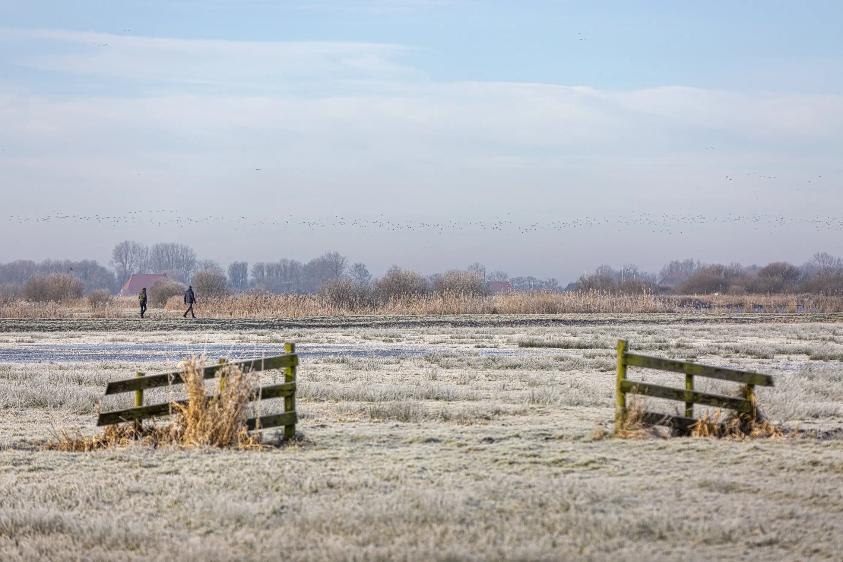 Winterwandelen Broek Thomas Vaer
