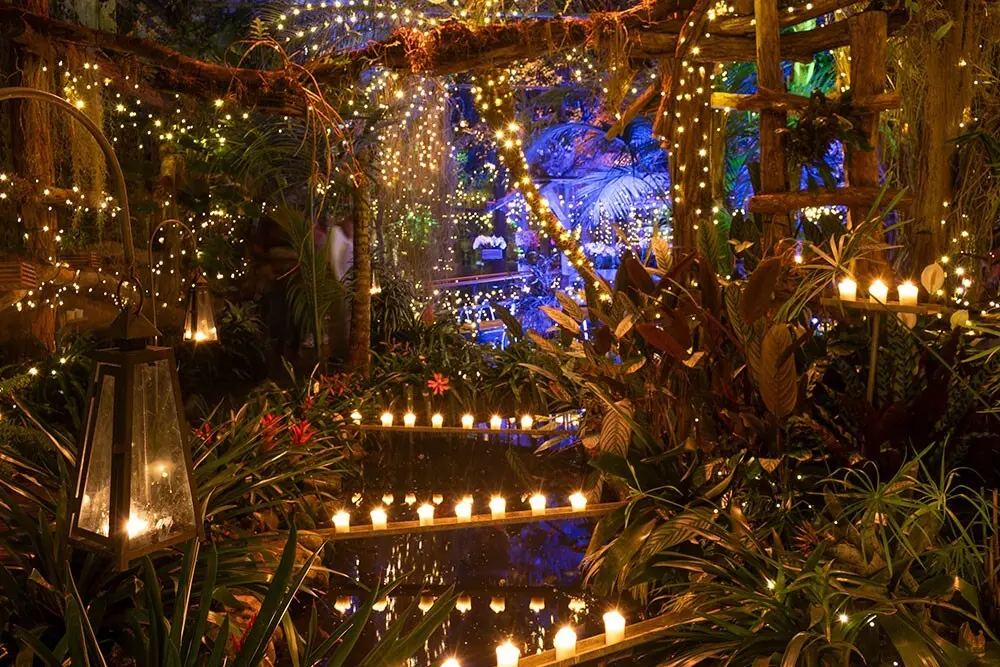 Winterdroom Pantropica