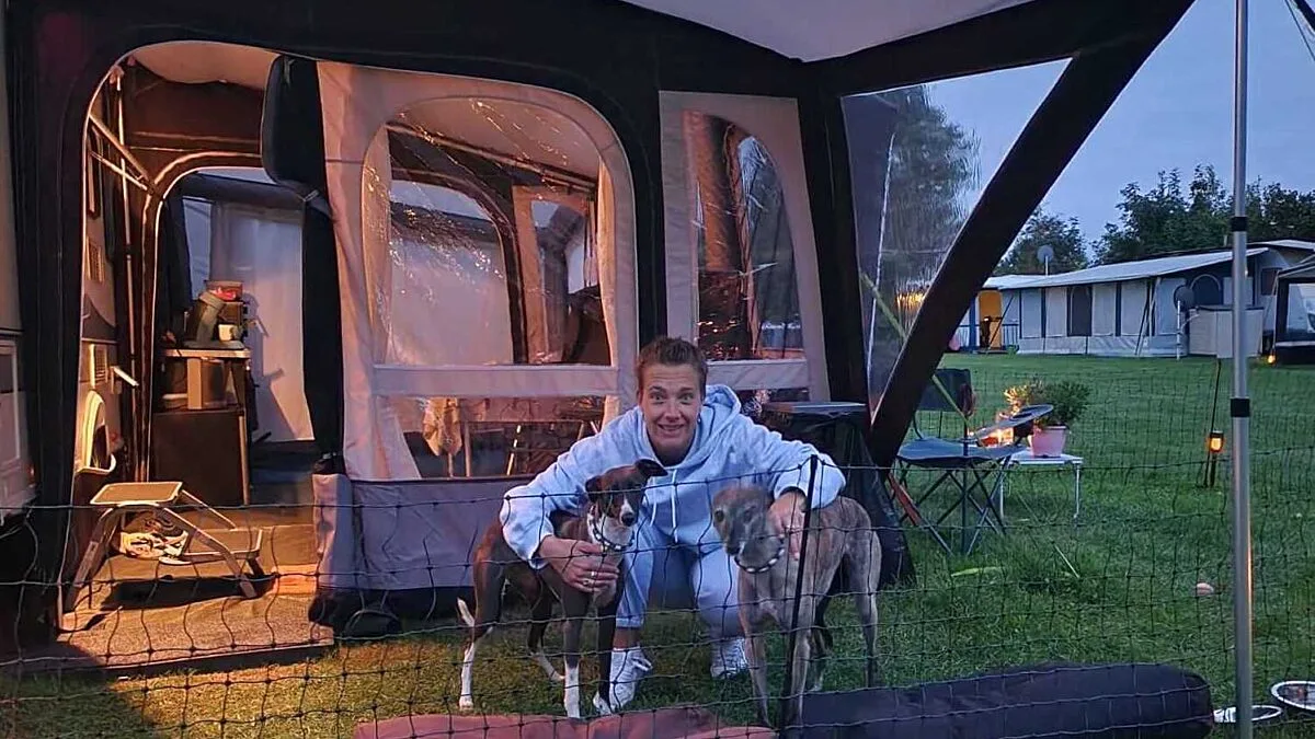 Met honden naar de camping