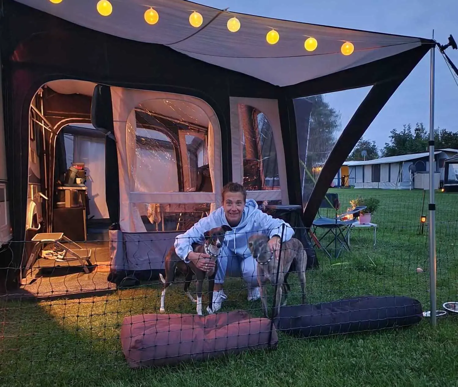 Met honden naar de camping