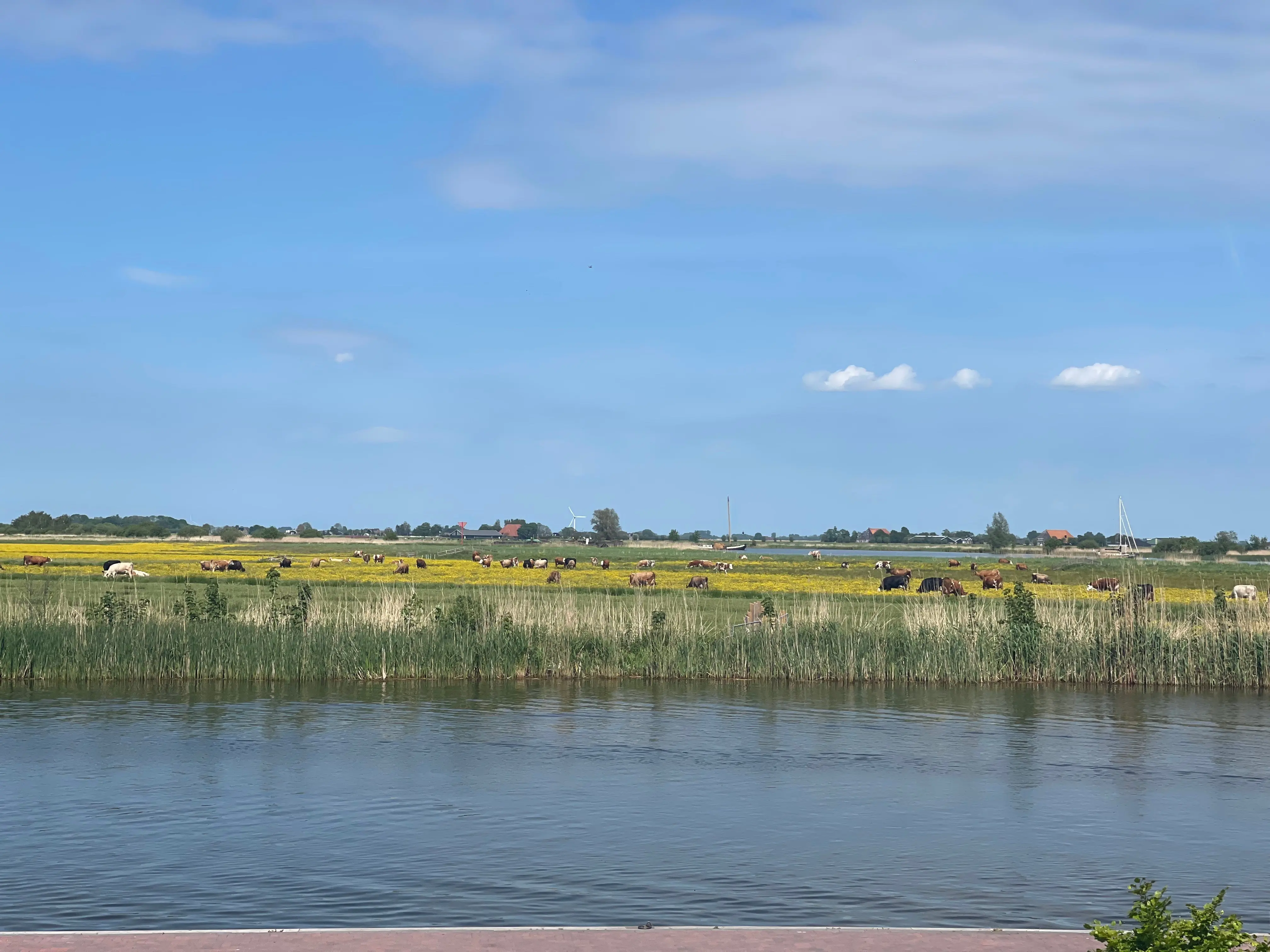 Prachtig natuurgebied De Gouden boaiem