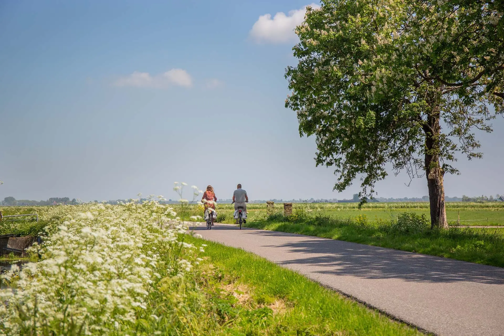 Fietsen en Wandelen in Friesland Merengebeid Elfsteden