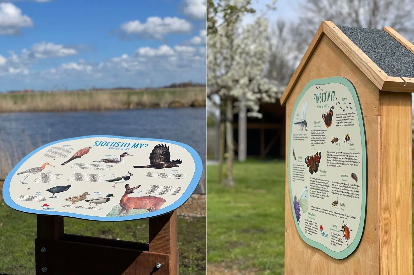 Fauna spotten op de camping