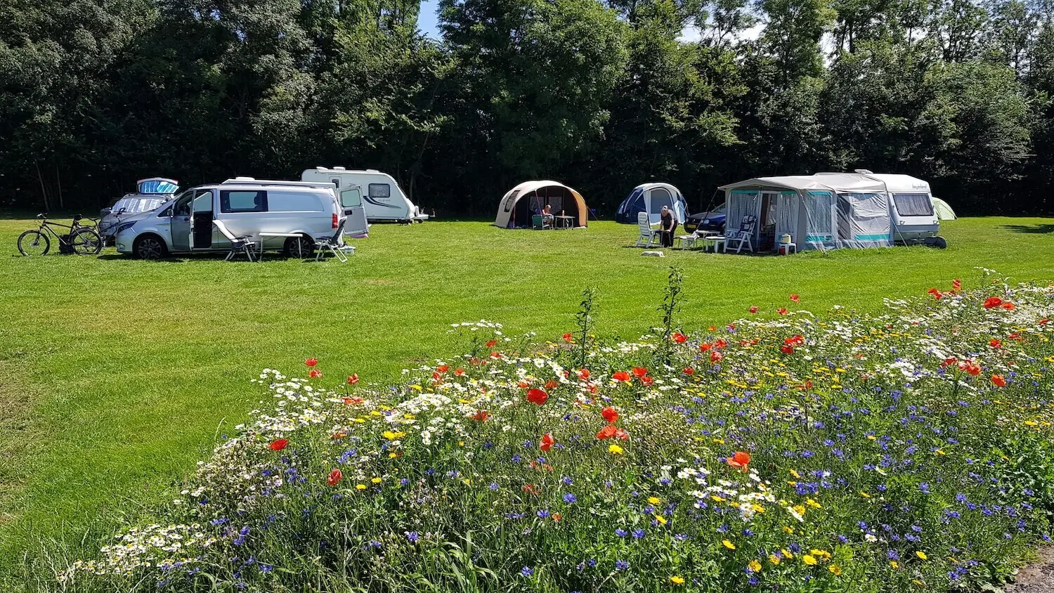 Stimuleren inheemse plantensoorten