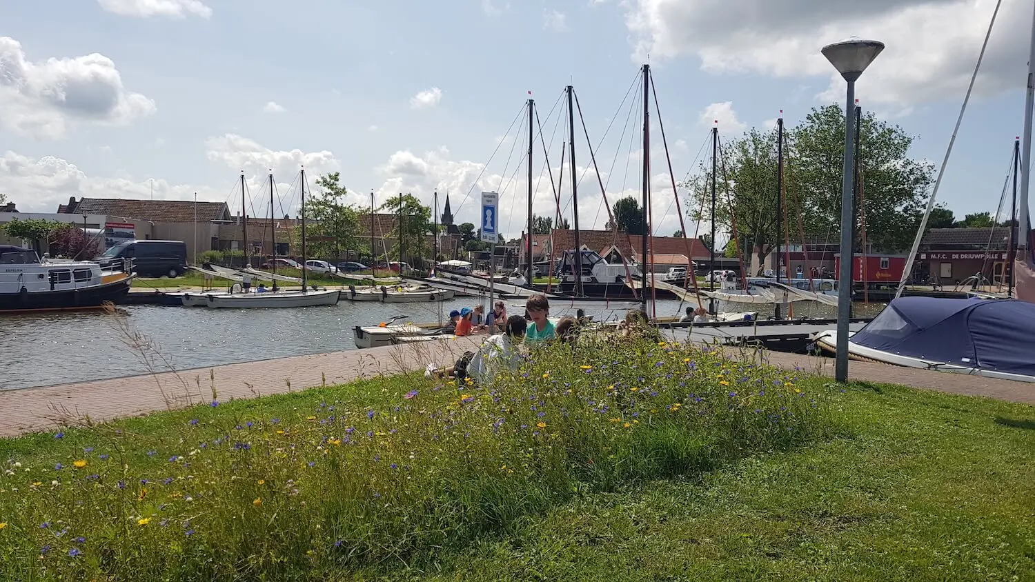 Wildgroei stimulatie ecosysteem